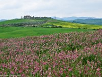 Toscana2011-218 : 2011, Toskana
