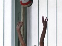 Franzi Kati-7 : Sport, Tus Wesseling, Volleyball