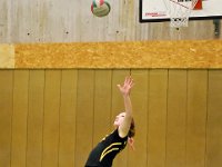 TUSvsPulheim-144 : Pulheim, Sport, Tus Wesseling, Volleyball