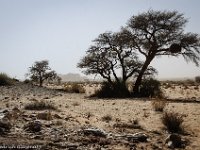 NAM 3776 : Namibia